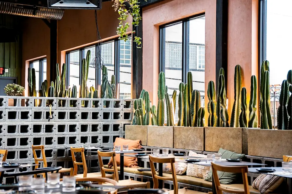 Vera Cocina & بار