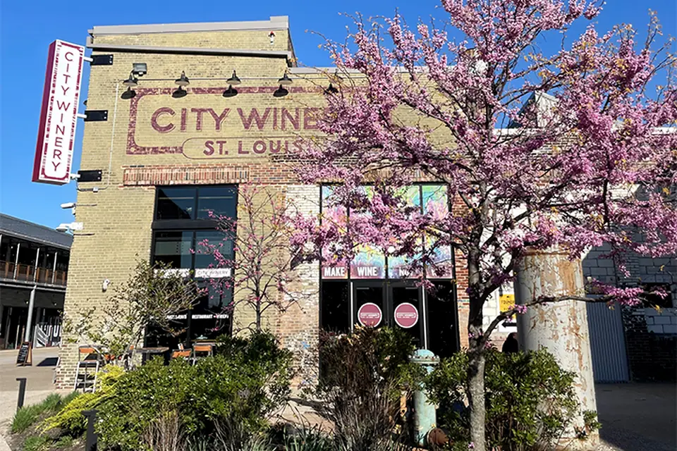 City Winery St. Louis